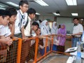 Tn DSC 6406